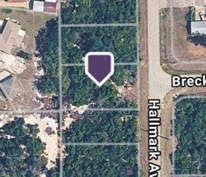 228 HALLMARK AVENUE, Lake Placid, FL 33852 228 HALLMARK AVENUE, Lake Placid, FL 33852