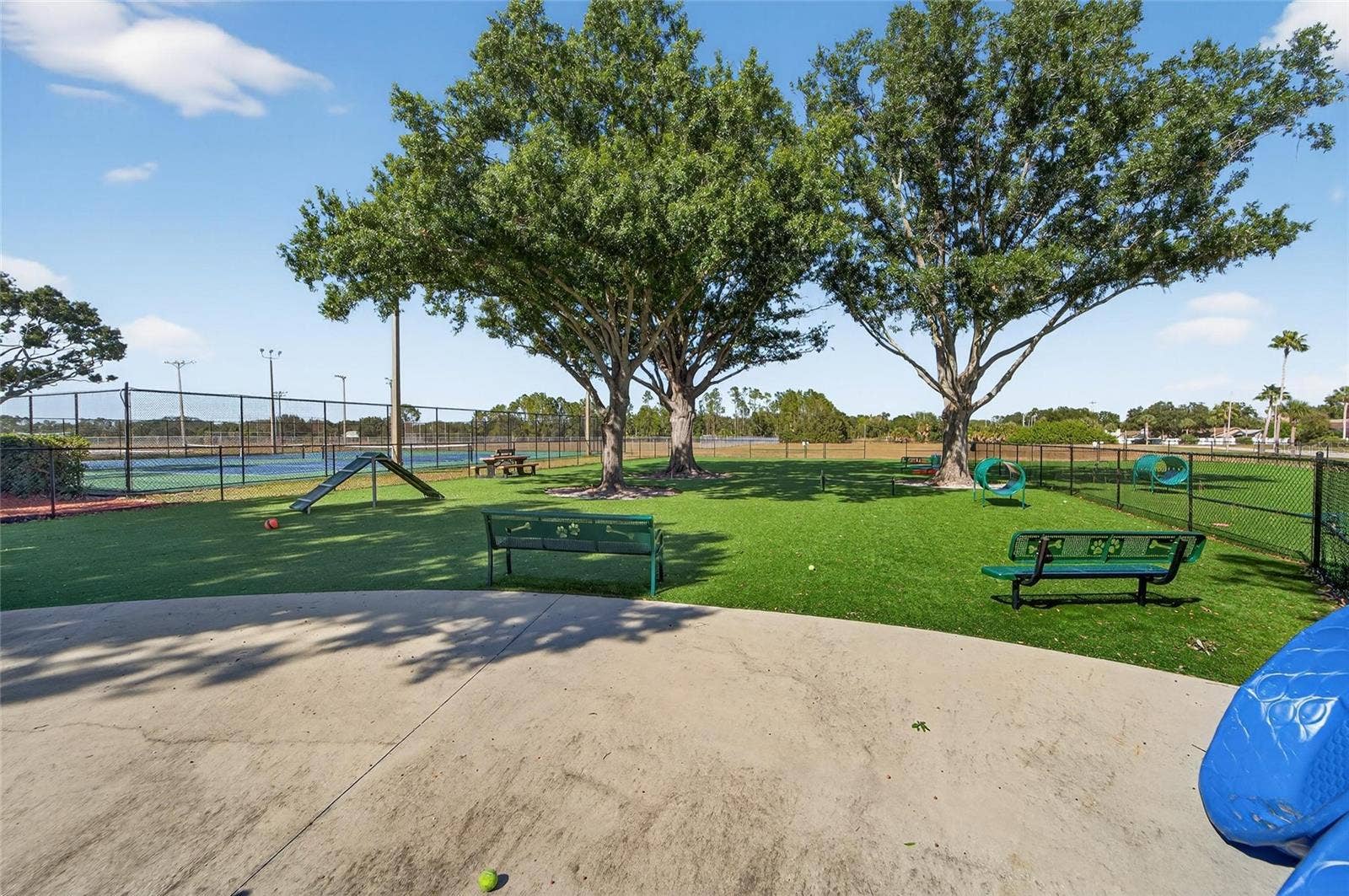 11812 LYNMOOR DRIVE, Riverview, FL 33579