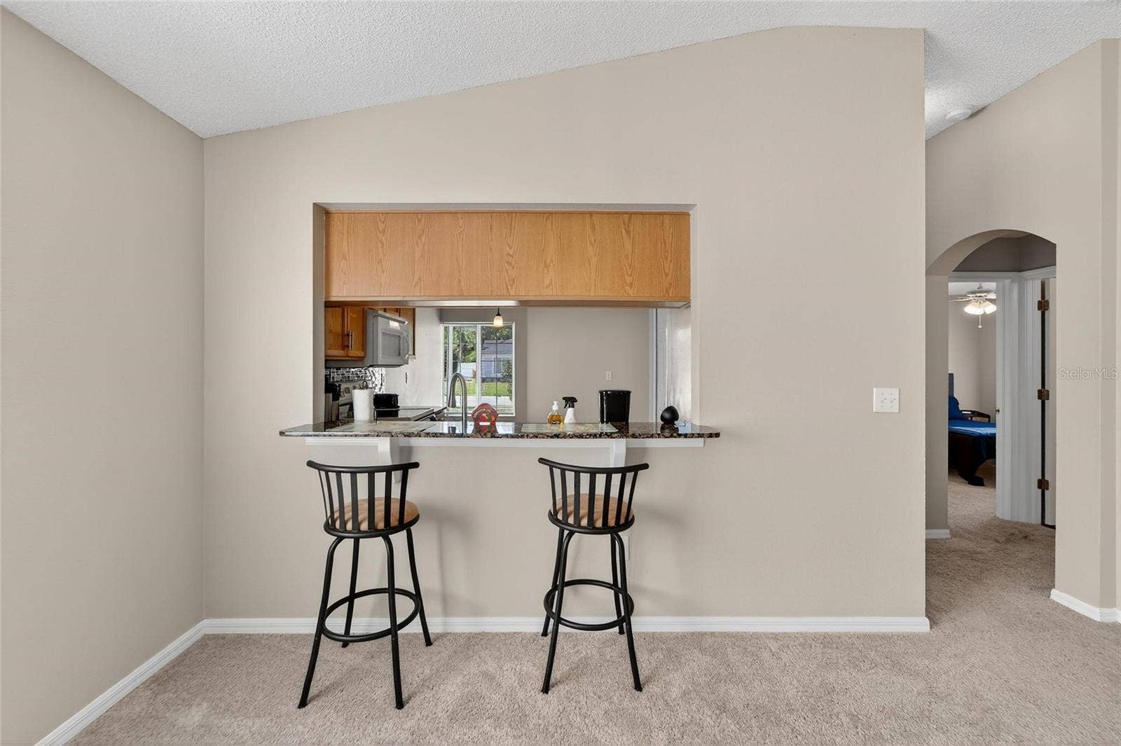 11812 LYNMOOR DRIVE, Riverview, FL 33579