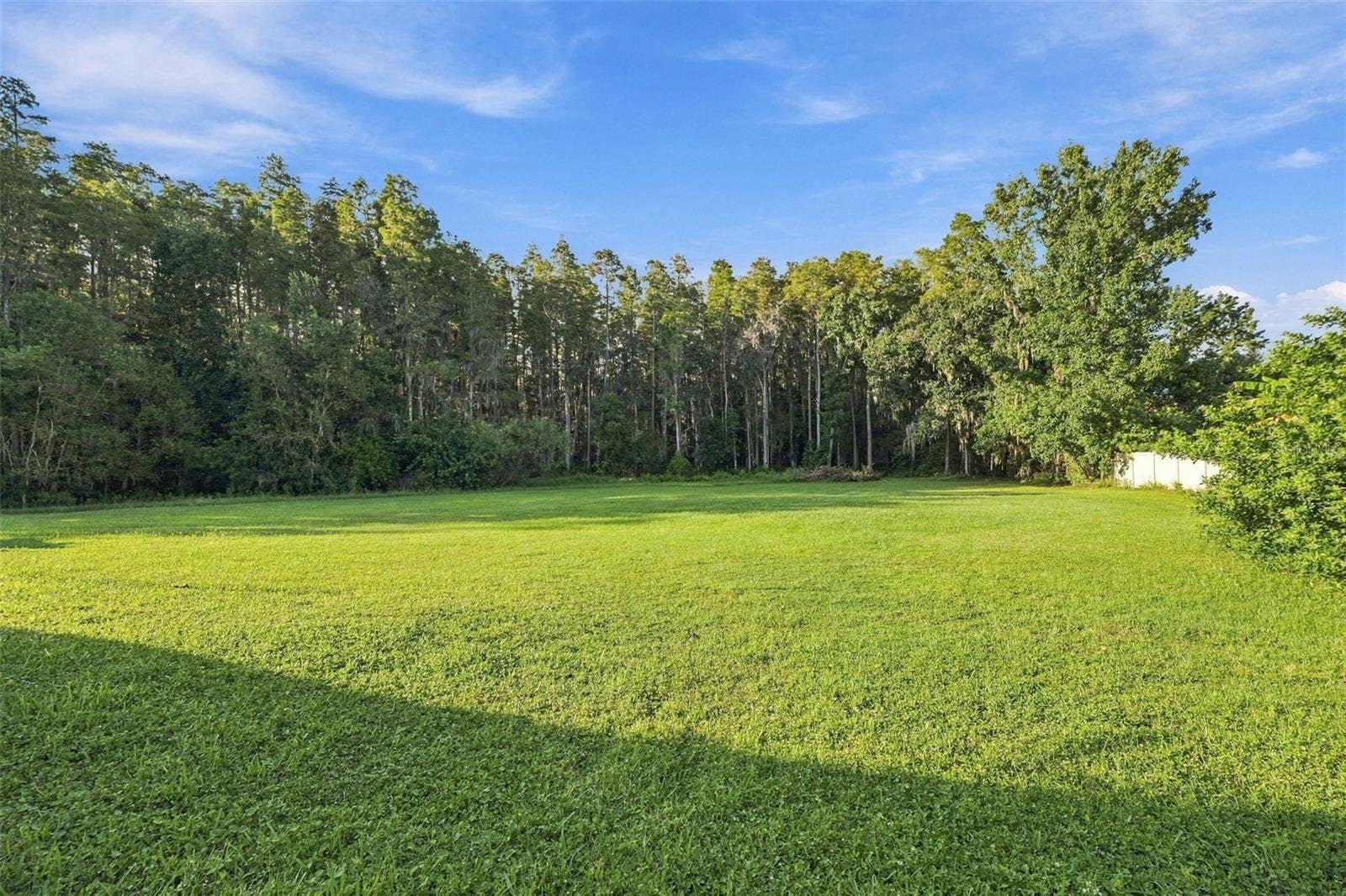 19153 GERACI ROAD, Lutz, FL 33558 19153 GERACI ROAD, Lutz, FL 33558