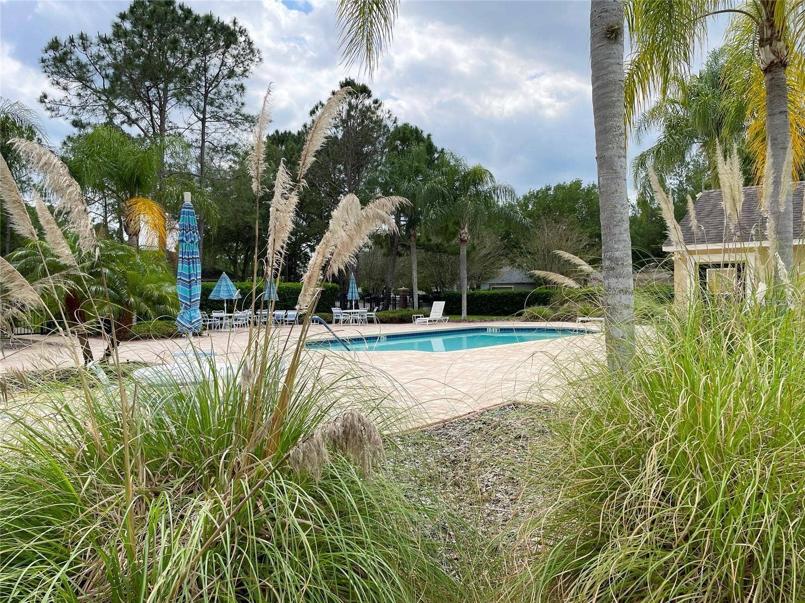 19149 LAKE AUDUBON DRIVE, Tampa, FL 33647 19149 LAKE AUDUBON DRIVE, Tampa, FL 33647