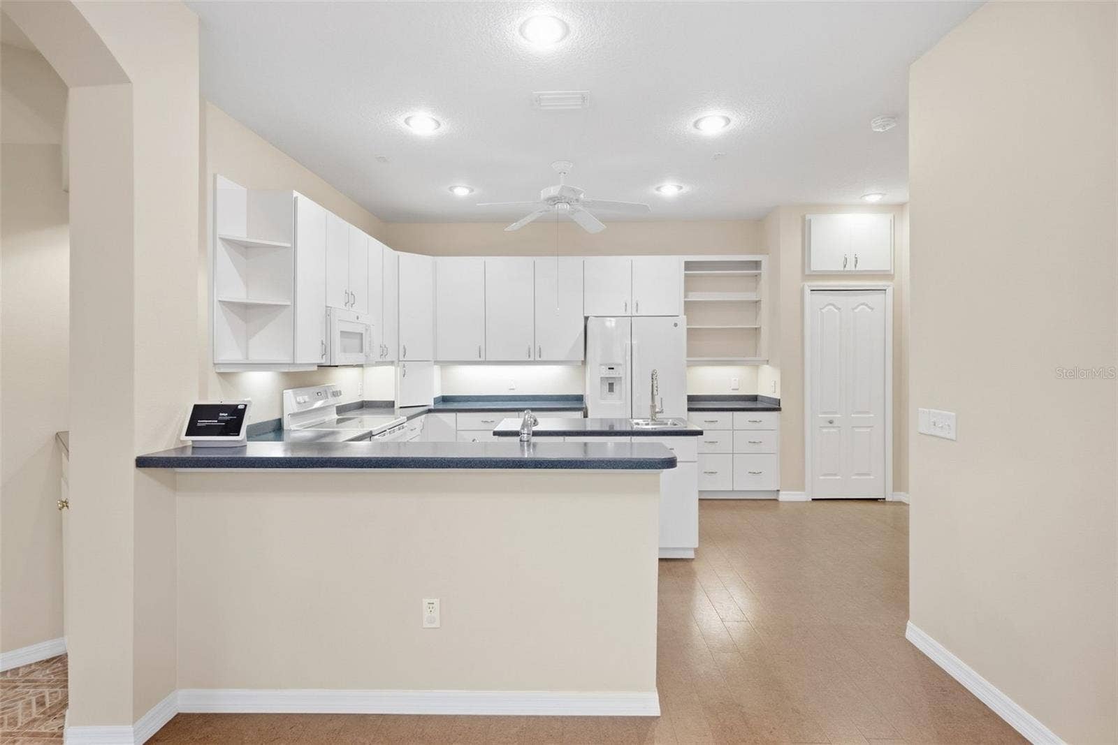 19149 LAKE AUDUBON DRIVE, Tampa, FL 33647 19149 LAKE AUDUBON DRIVE, Tampa, FL 33647