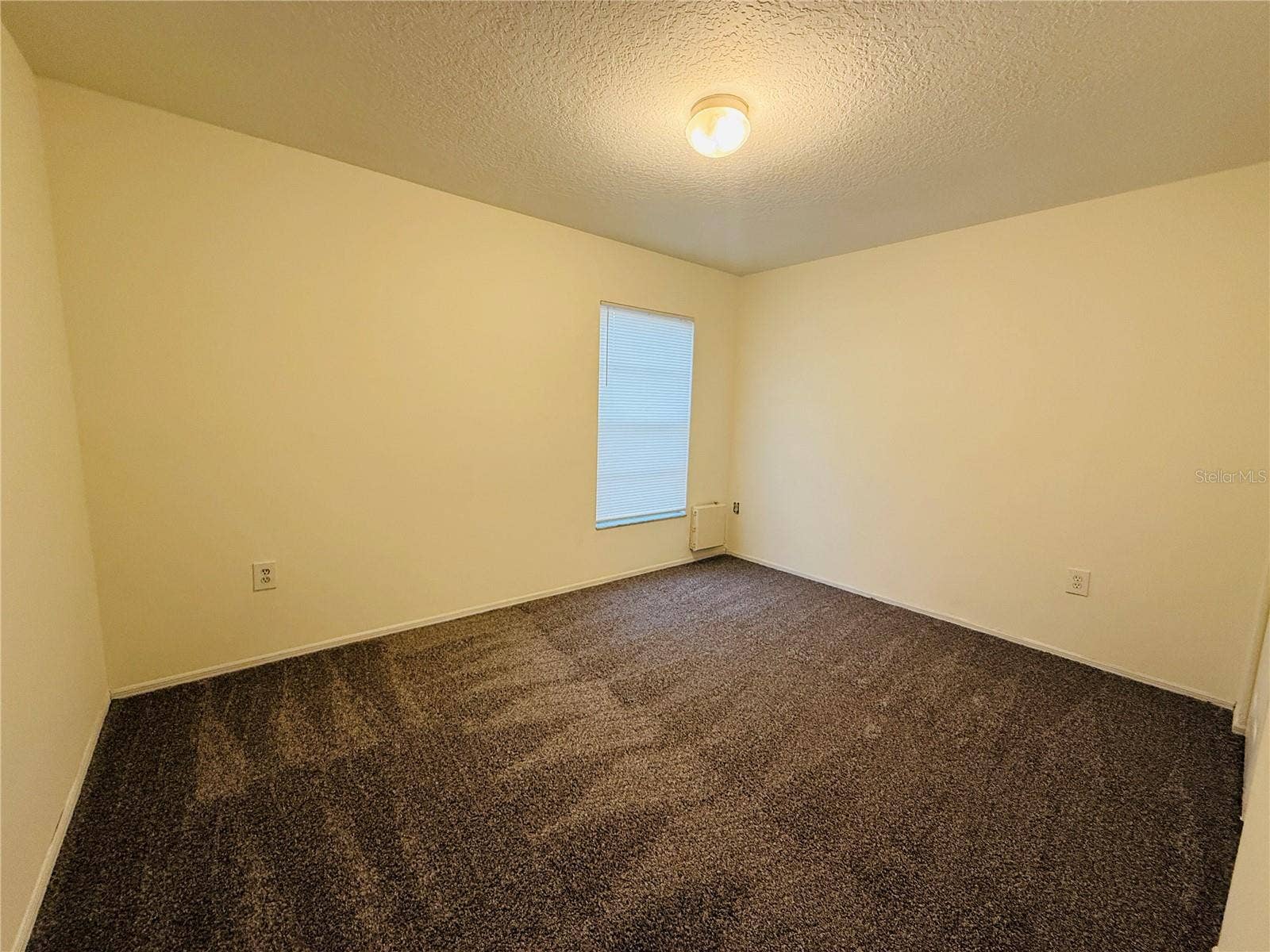 8507 N HYALEAH ROAD, Tampa, FL 33617 8507 N HYALEAH ROAD, Tampa, FL 33617