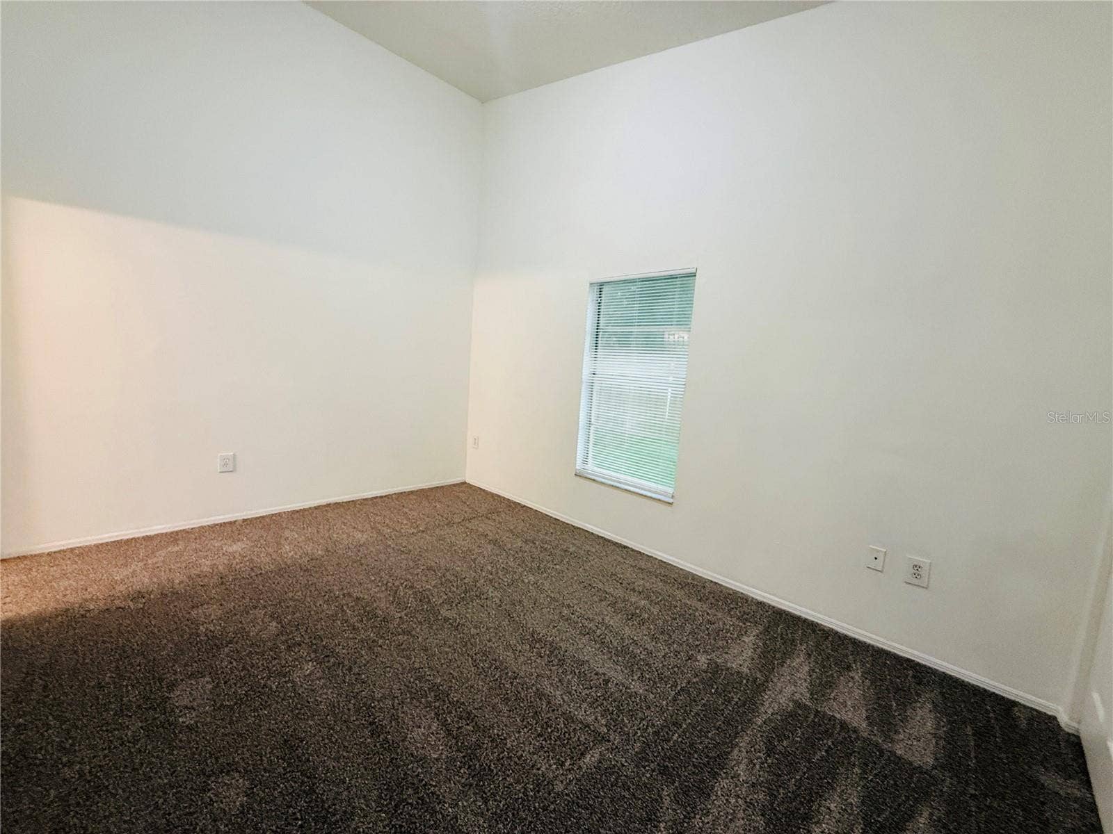8507 N HYALEAH ROAD, Tampa, FL 33617 8507 N HYALEAH ROAD, Tampa, FL 33617