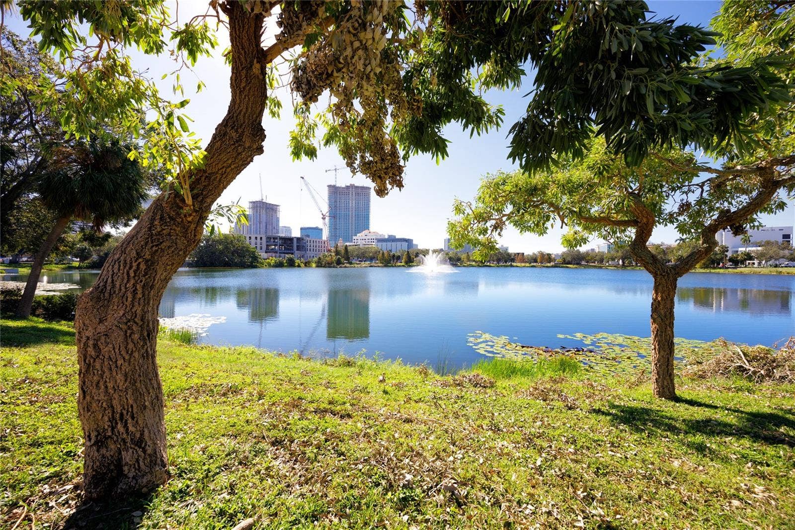 701 MIRROR LAKE DRIVE N, #206, St Petersburg, FL 33701 701 MIRROR LAKE DRIVE N, #206, St Petersburg, FL 33701