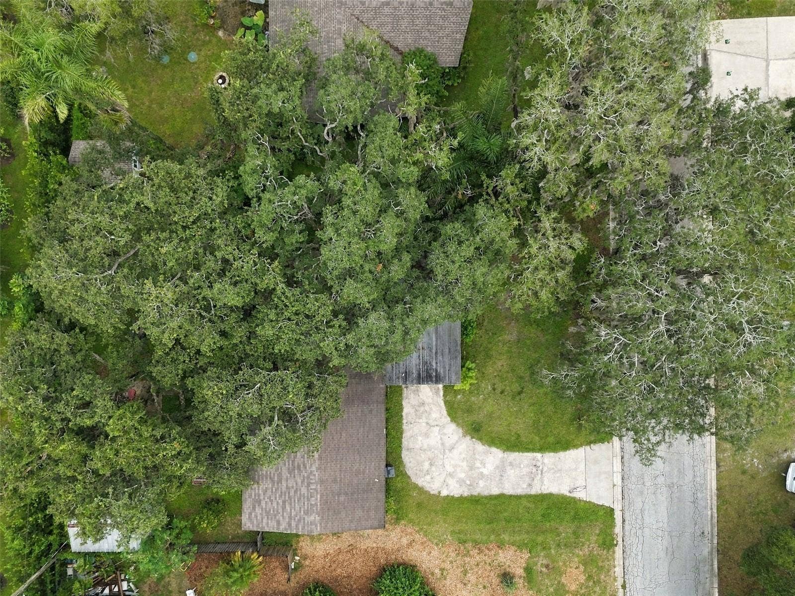 8010 SHARON DRIVE, Tampa, FL 33617