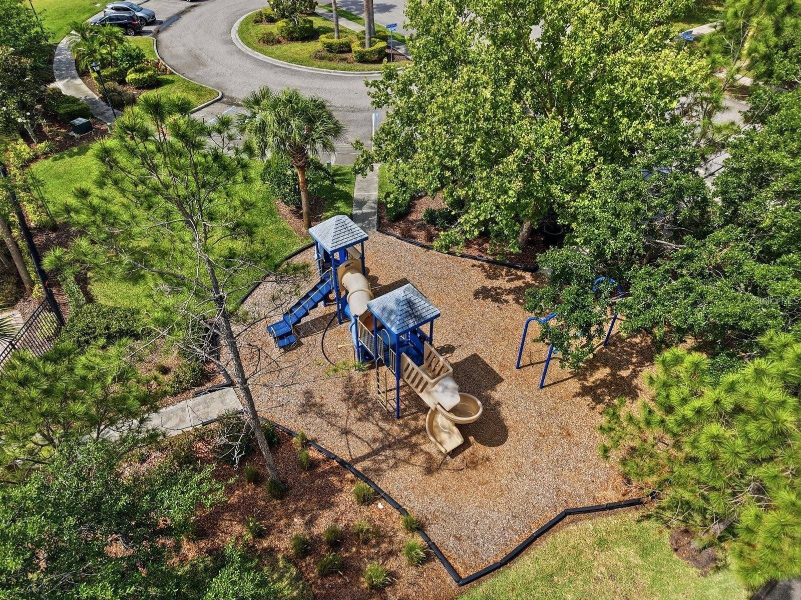 4620 CHATTERTON WAY, Riverview, FL 33578 Playground for the children