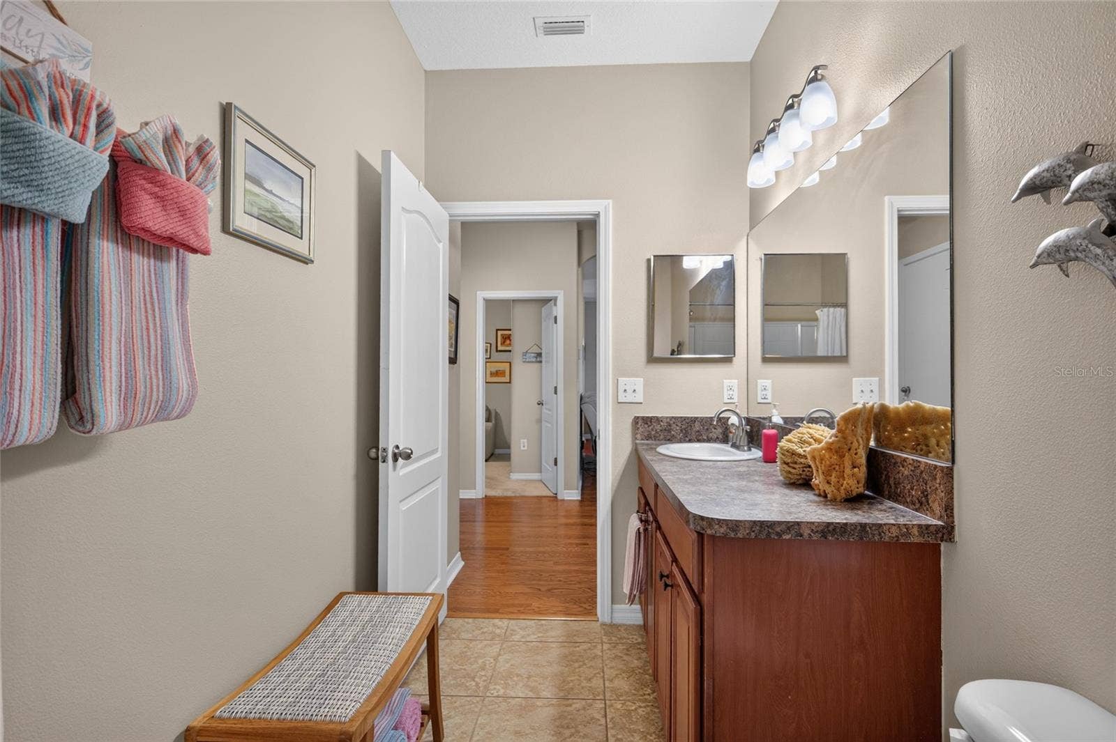 13113 GRAHAM YARDEN DRIVE, Riverview, FL 33579 Bath 2