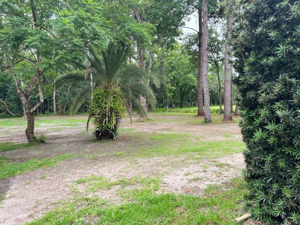 8536 CESSNA DRIVE, New Port Richey, FL 34654