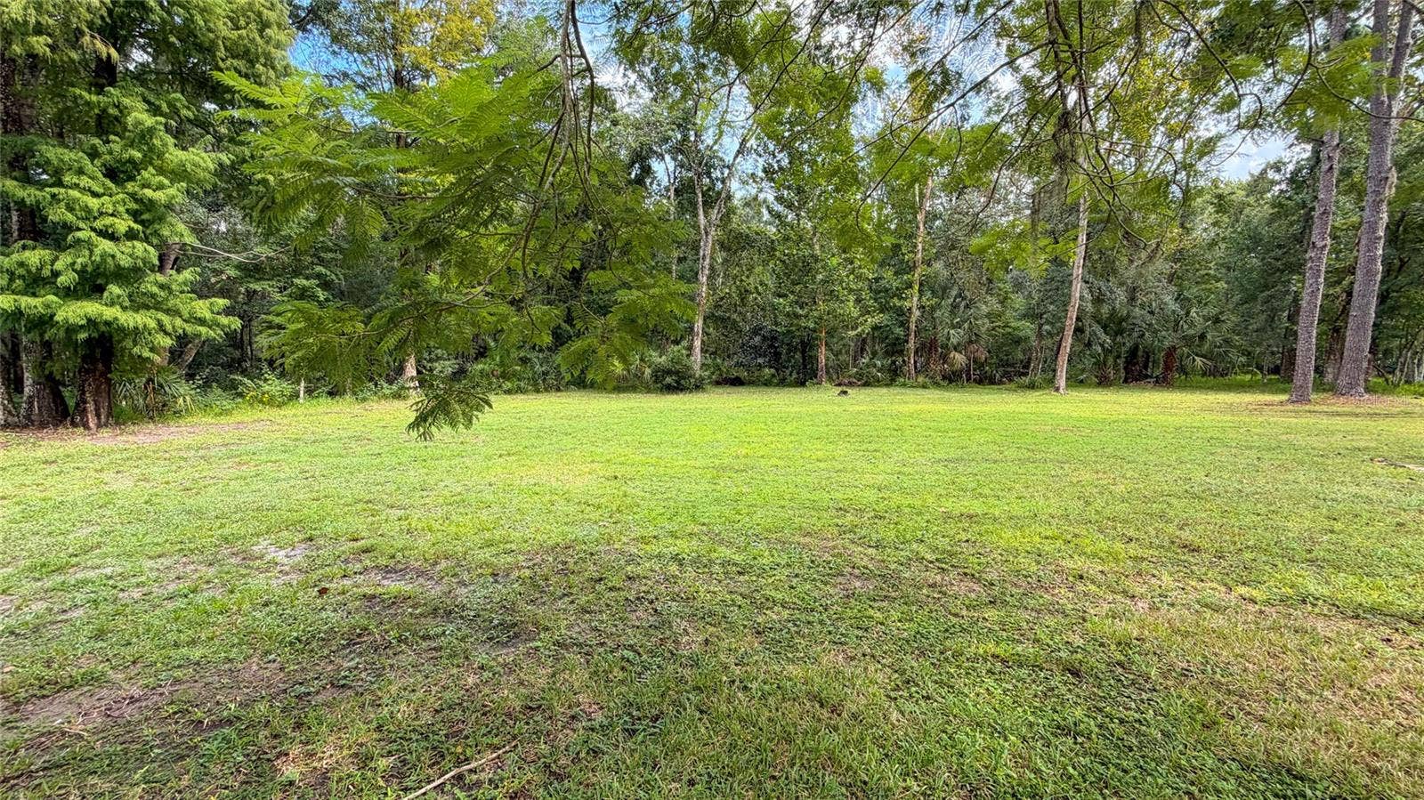 back yard
