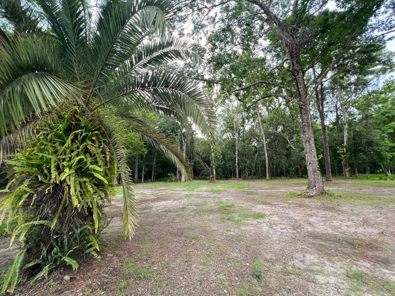 8536 CESSNA DRIVE, New Port Richey, FL 34654