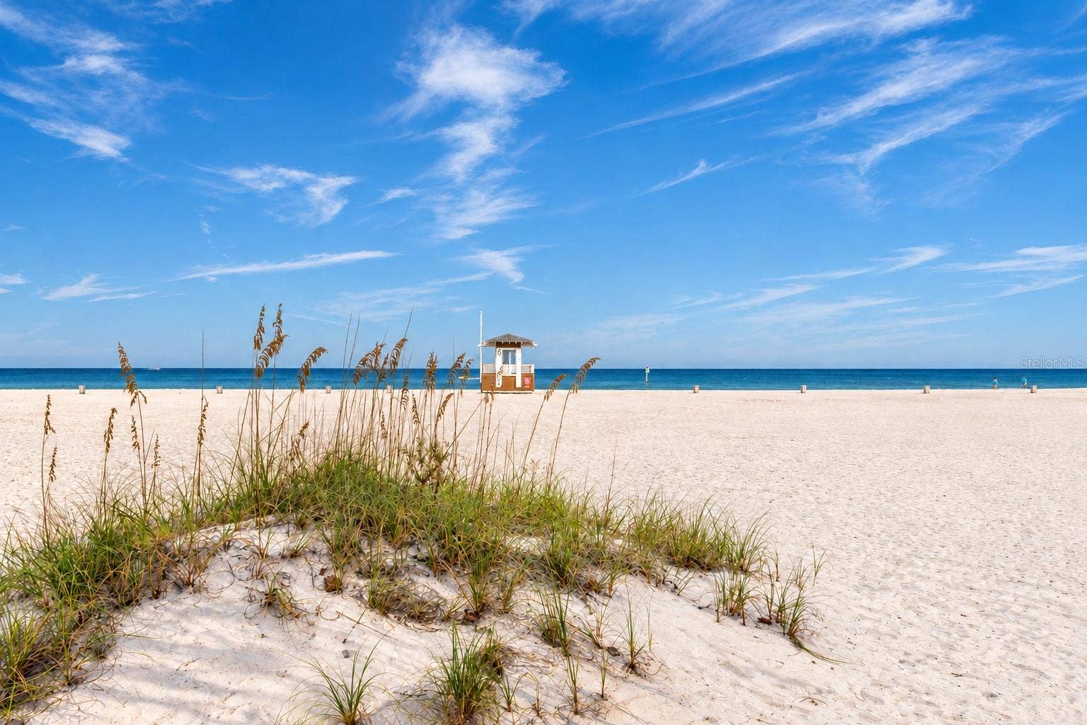 10 PAPAYA STREET, #1006, Clearwater, FL 33767 10 PAPAYA STREET, #1006, Clearwater, FL 33767
