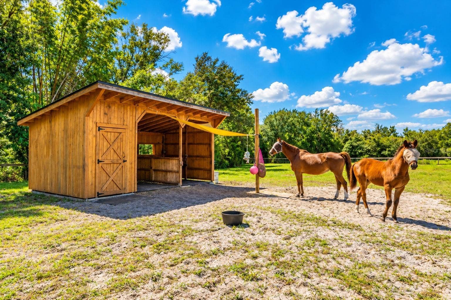 11526 TROTTING DOWN DRIVE, Odessa, FL 33556 11526 TROTTING DOWN DRIVE, Odessa, FL 33556