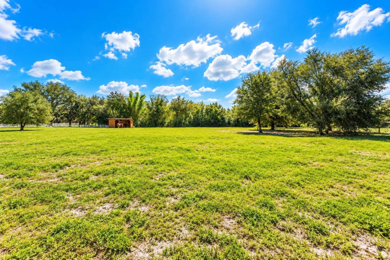 11526 TROTTING DOWN DRIVE, Odessa, FL 33556 11526 TROTTING DOWN DRIVE, Odessa, FL 33556