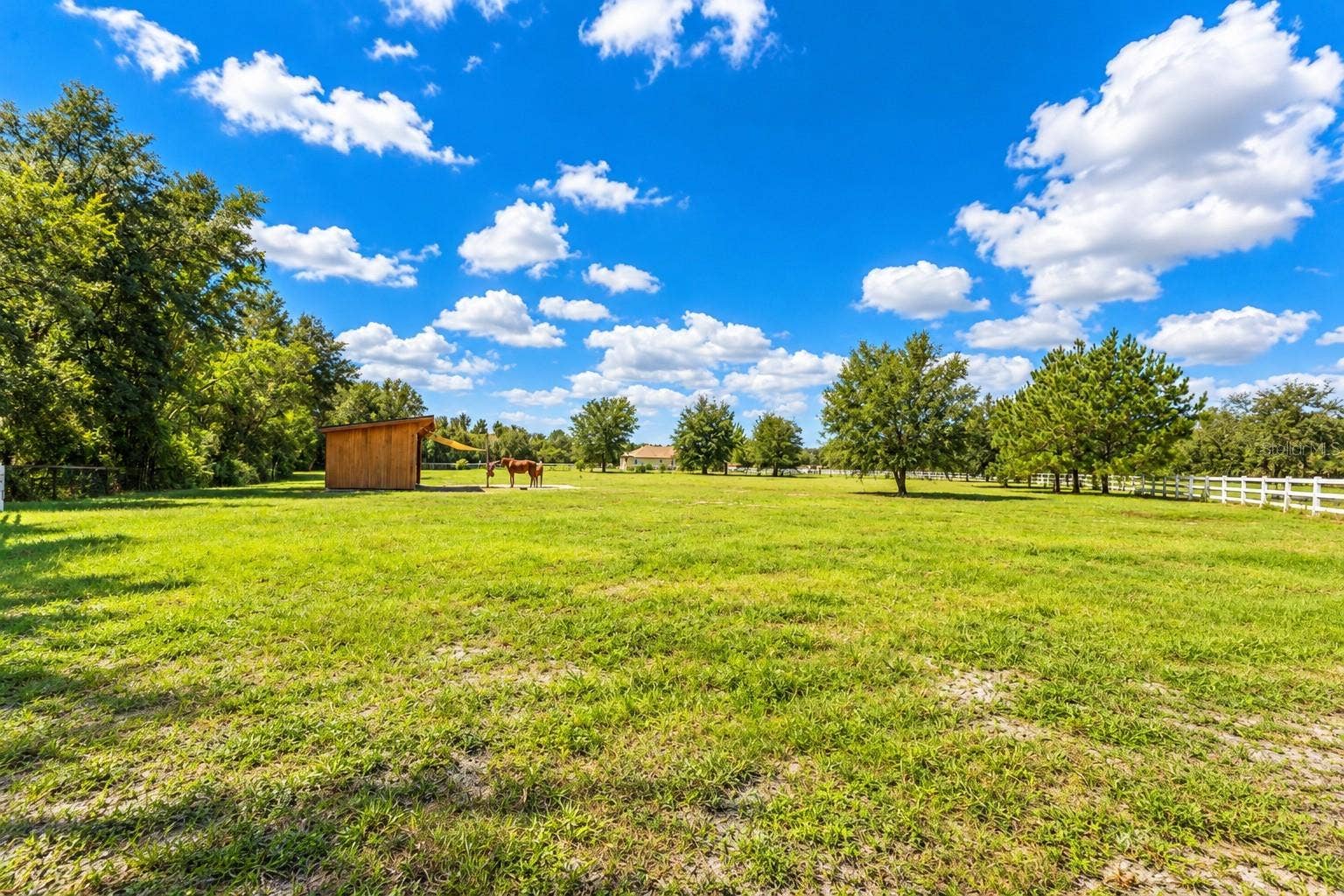 11526 TROTTING DOWN DRIVE, Odessa, FL 33556 11526 TROTTING DOWN DRIVE, Odessa, FL 33556
