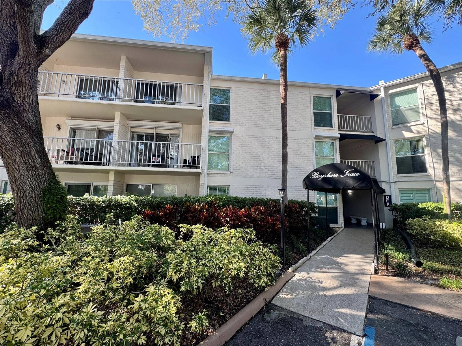 3325 BAYSHORE BOULEVARD, #F31, Tampa, FL 33629 3325 BAYSHORE BOULEVARD, #F31, Tampa, FL 33629