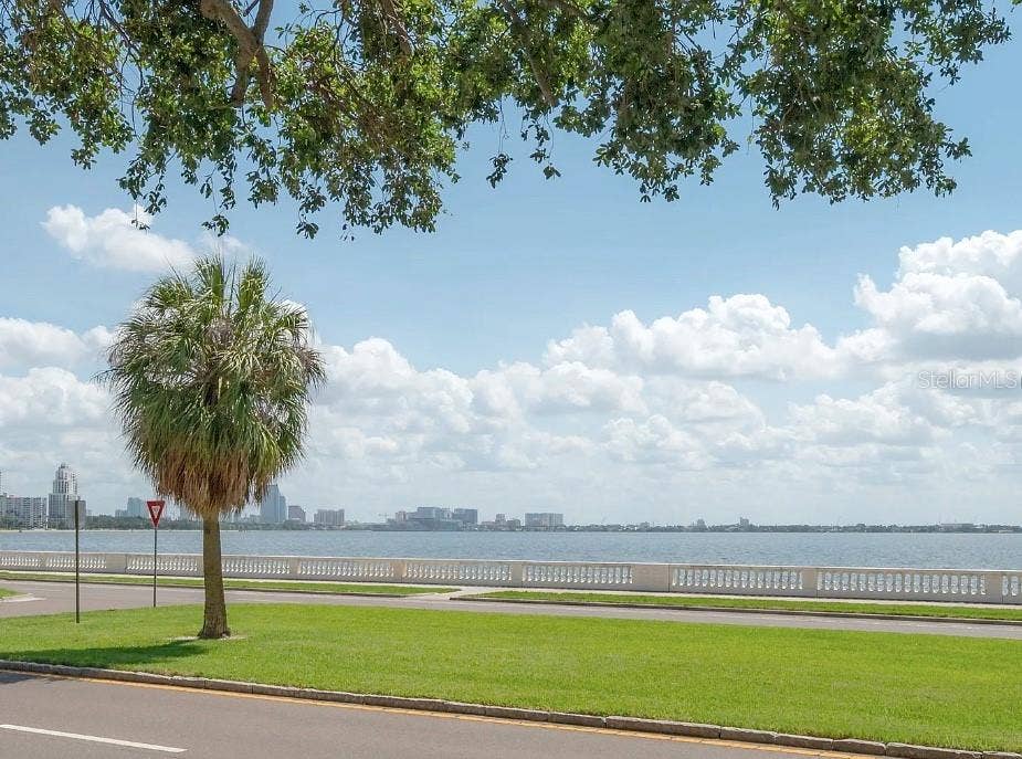 3325 BAYSHORE BOULEVARD, #F31, Tampa, FL 33629 3325 BAYSHORE BOULEVARD, #F31, Tampa, FL 33629