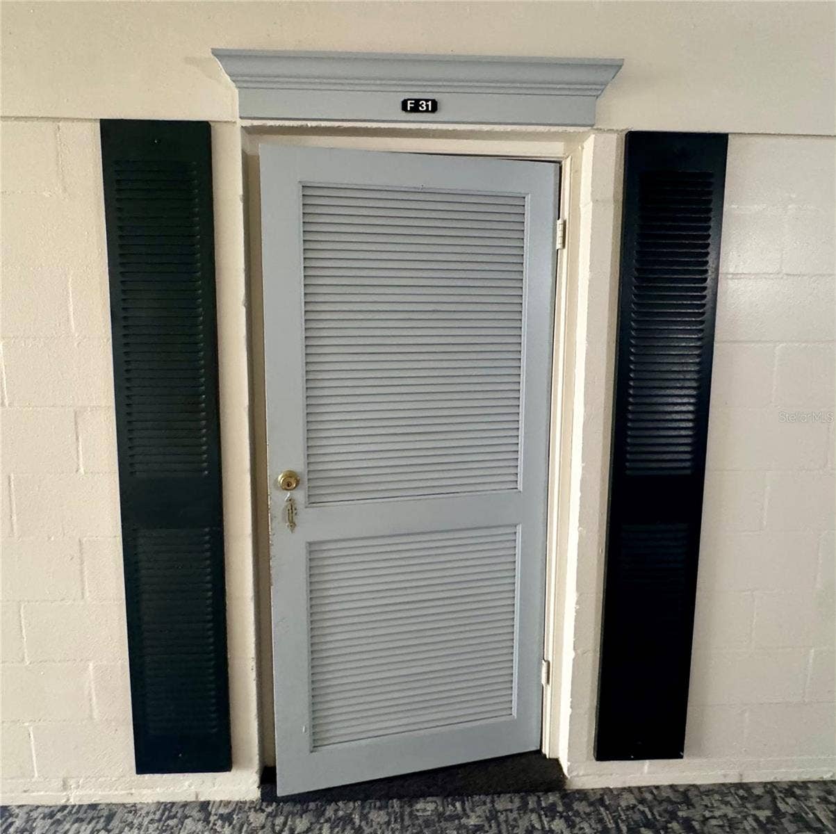 3325 BAYSHORE BOULEVARD, #F31, Tampa, FL 33629 3325 BAYSHORE BOULEVARD, #F31, Tampa, FL 33629