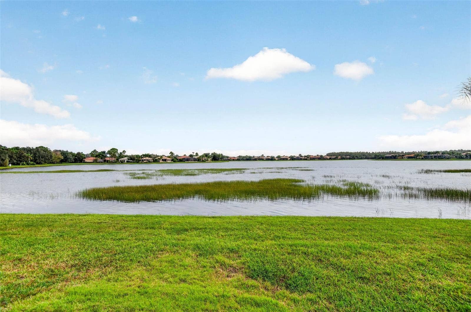 15910 GOLDEN LAKES DRIVE, Wimauma, FL 33598