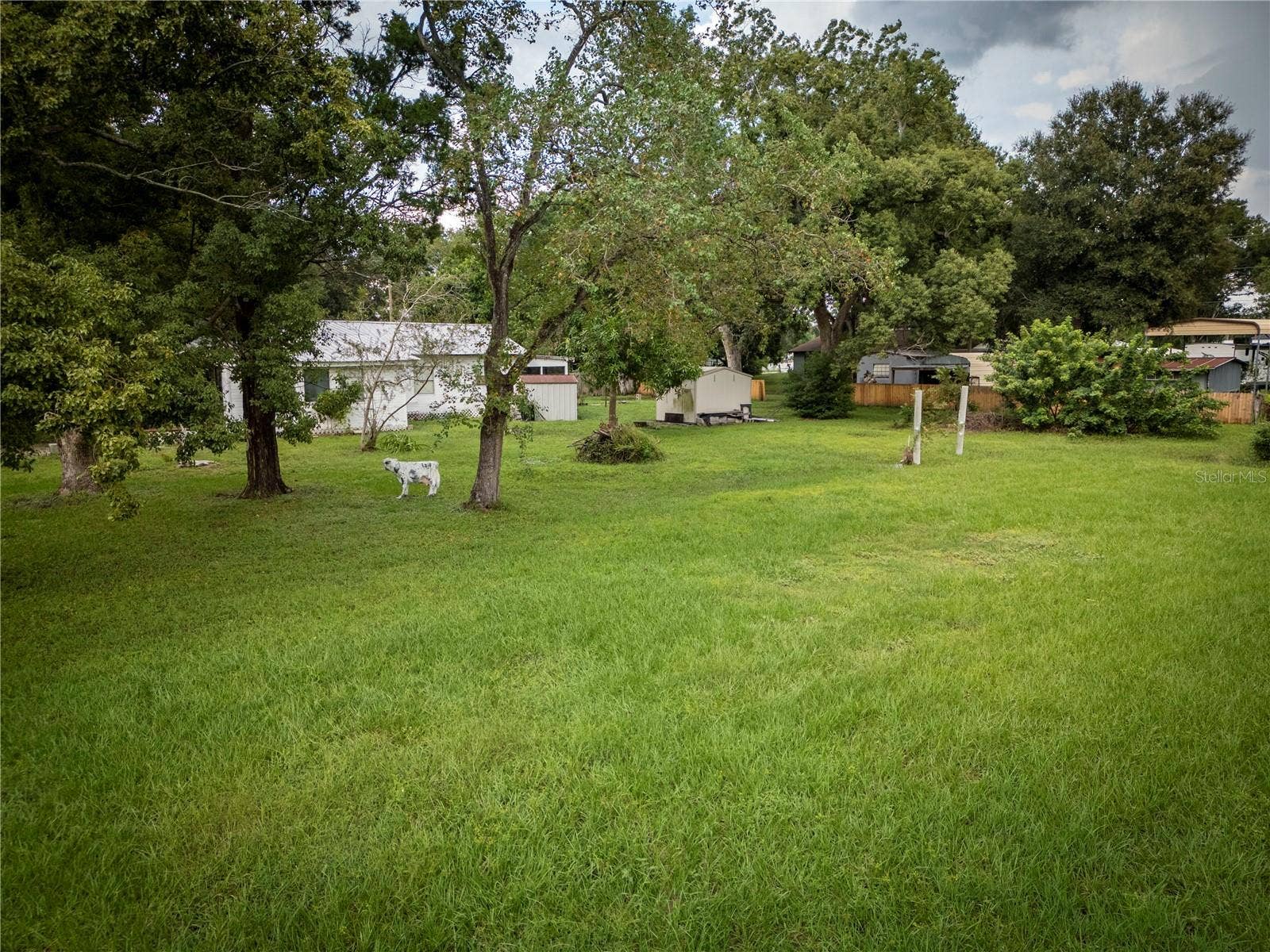 Yard