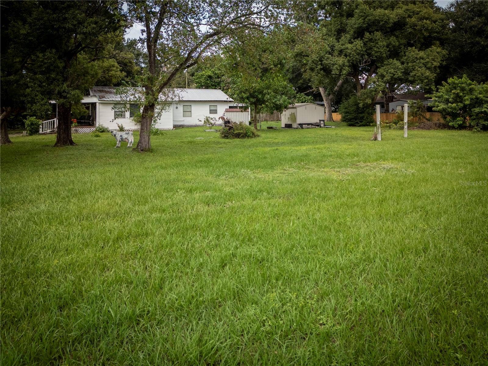 Yard