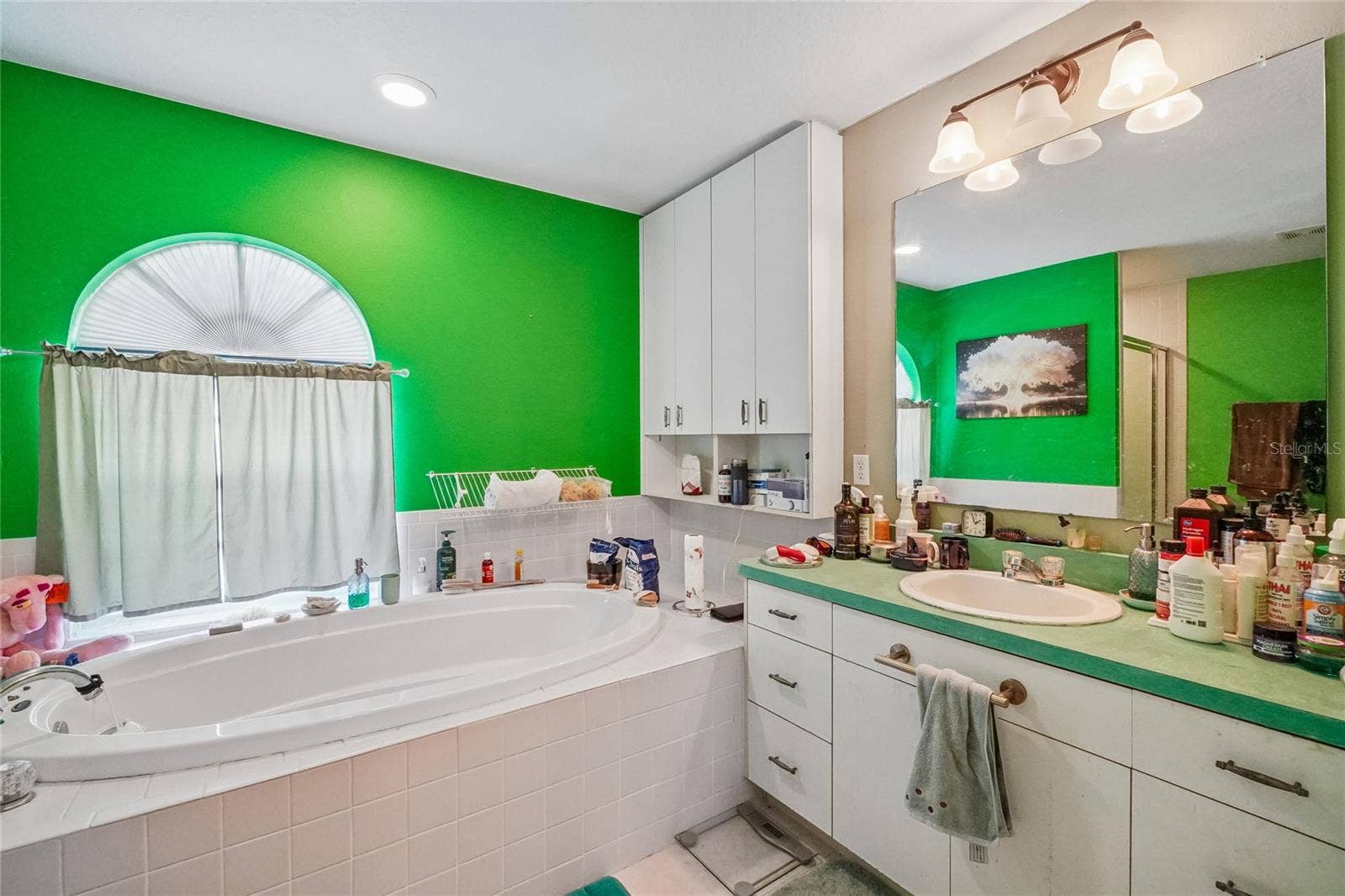 6074 BEECHWOOD DRIVE, Dade City, FL 33523 Master Bathroom