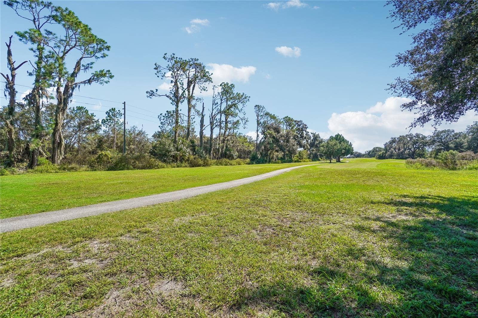 6074 BEECHWOOD DRIVE, Dade City, FL 33523 Back Yard