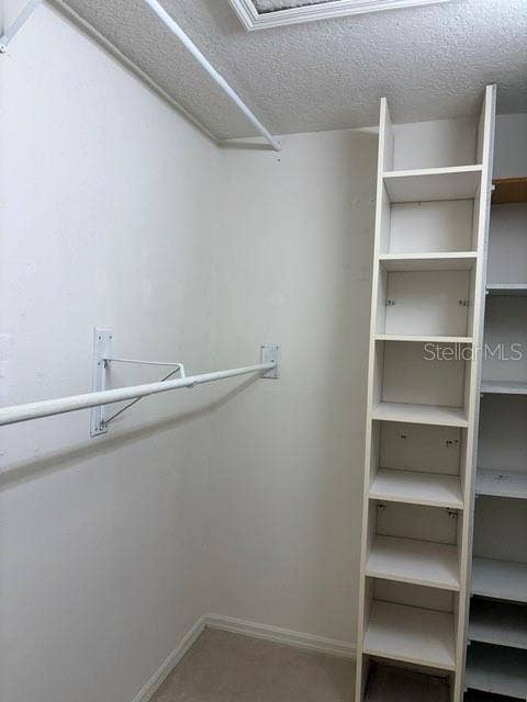 402 DATE PALM COURT NE, St Petersburg, FL 33703 Primary Closet