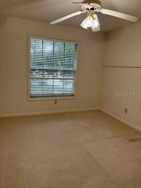 402 DATE PALM COURT NE, St Petersburg, FL 33703 2nd bedroom