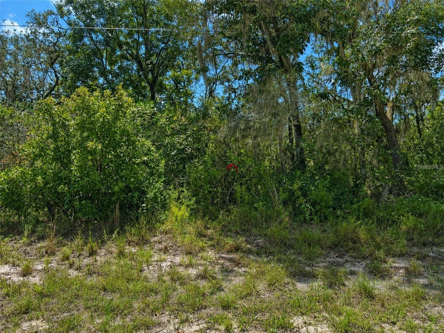 0 RIVERSTONE ST, #Hernando, Webster, FL 33597 Front View