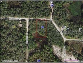 0 RIVERSTONE ST, #Hernando, Webster, FL 33597 Aerial View