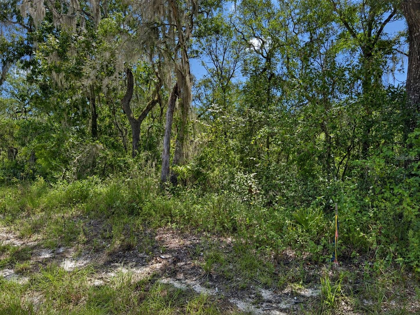 0 RIVERSTONE ST, #Hernando, Webster, FL 33597 Front View