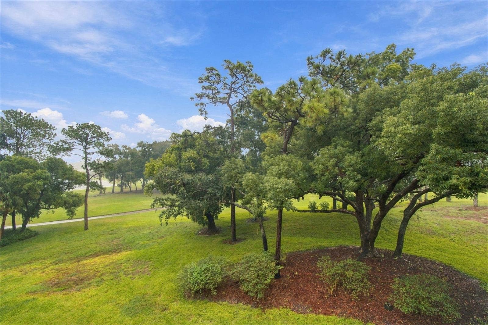 36750 US HIGHWAY 19, #23308, Palm Harbor, FL 34684 36750 US HIGHWAY 19, #23308, Palm Harbor, FL 34684