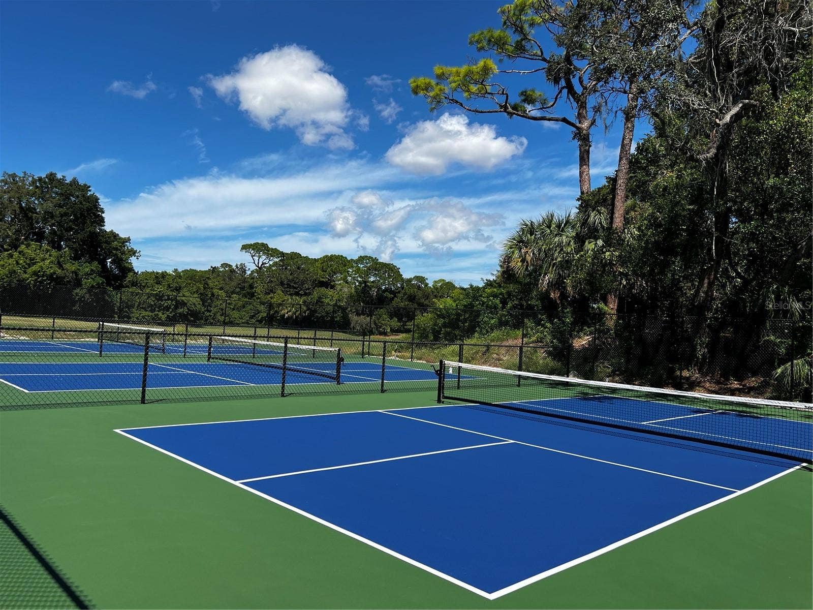 36750 US HIGHWAY 19, #23308, Palm Harbor, FL 34684 36750 US HIGHWAY 19, #23308, Palm Harbor, FL 34684