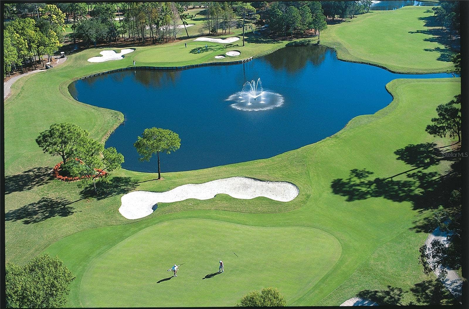 36750 US HIGHWAY 19, #23308, Palm Harbor, FL 34684 36750 US HIGHWAY 19, #23308, Palm Harbor, FL 34684