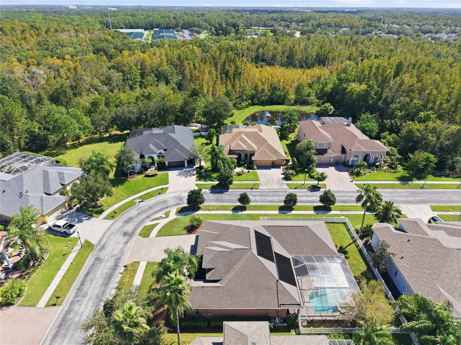 3905 SORREL VINE DRIVE, Wesley Chapel, FL 33544