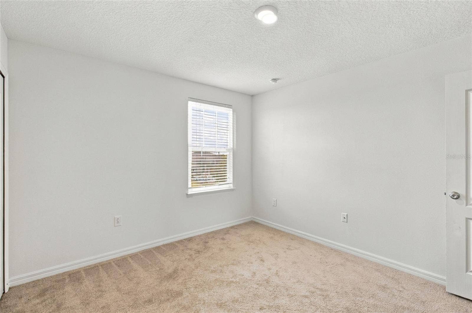 7945 OLIVE BROOK DRIVE, Wesley Chapel, FL 33545