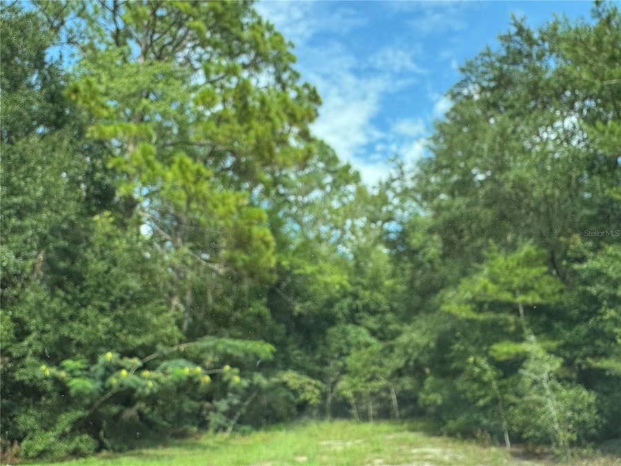 Property photo for UNASSIGNED, Fort Mc Coy, FL