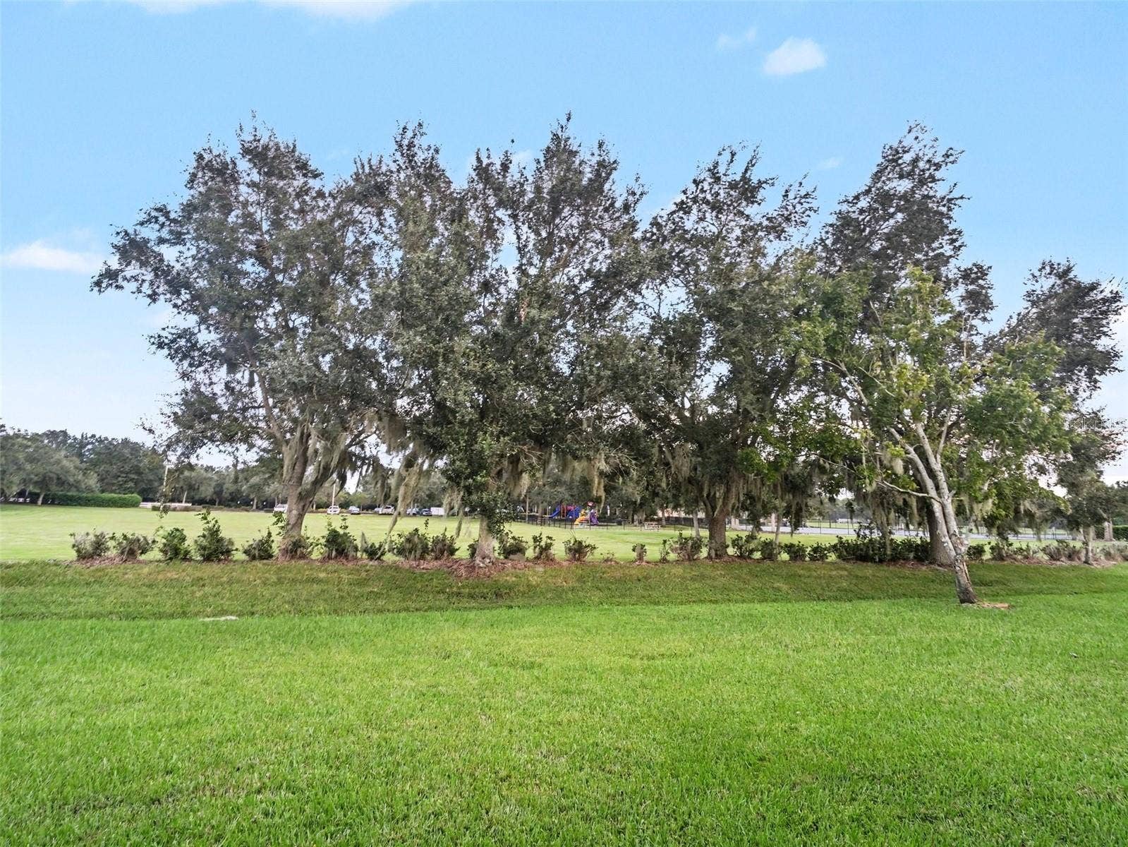 10007 58TH STREET E, Parrish, FL 34219 10007 58TH STREET E, Parrish, FL 34219