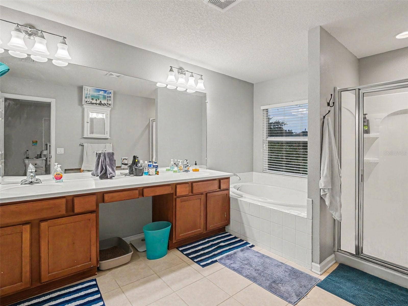 10007 58TH STREET E, Parrish, FL 34219 10007 58TH STREET E, Parrish, FL 34219