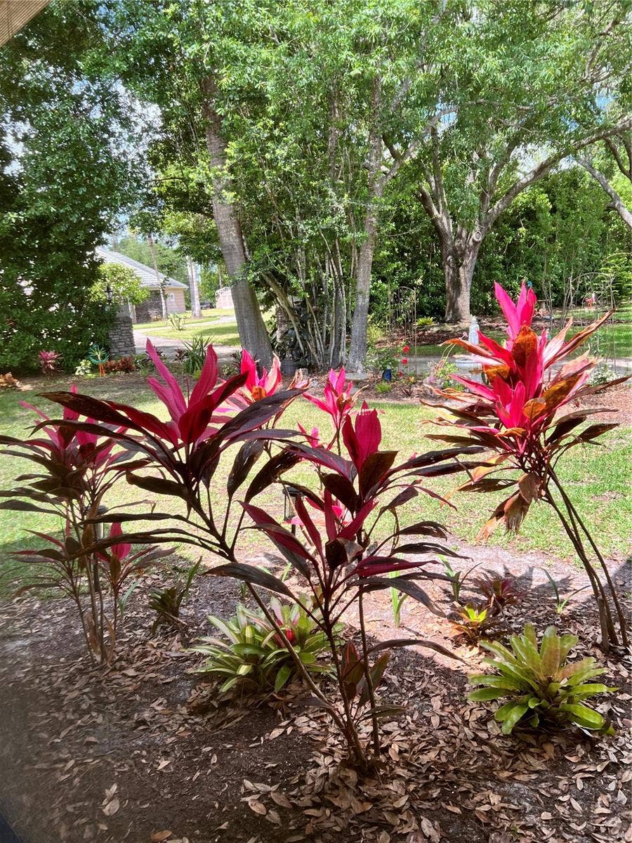 113 BRIDGEHAVEN DRIVE, Palm Coast, FL 32137