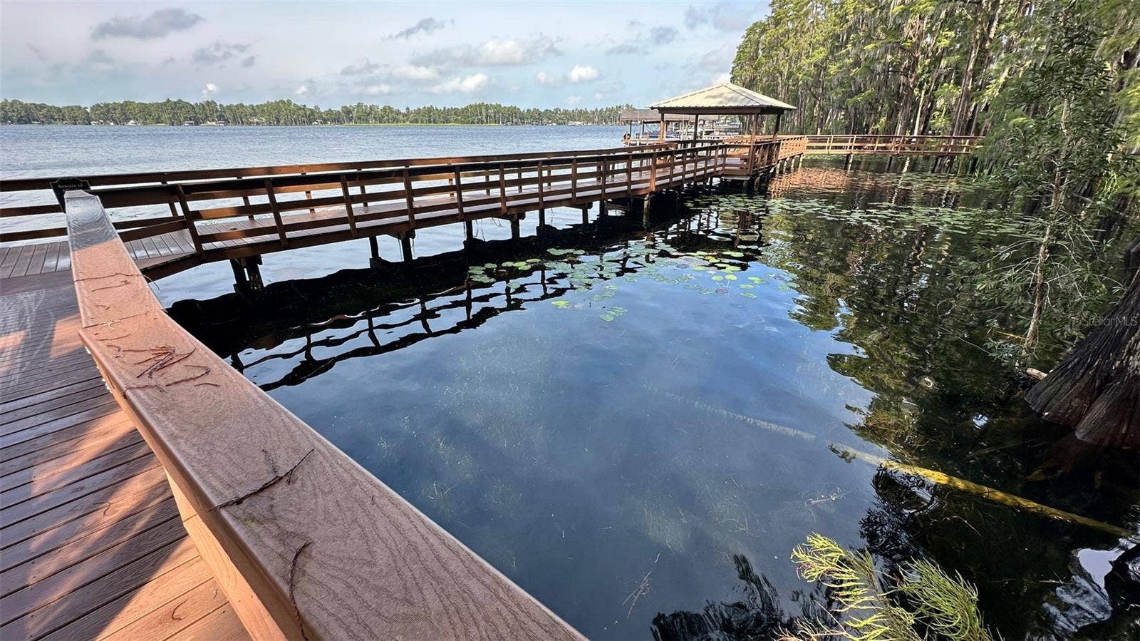 5727 GOLDEN OWL LOOP, Land O Lakes, FL 34638 5727 GOLDEN OWL LOOP, Land O Lakes, FL 34638