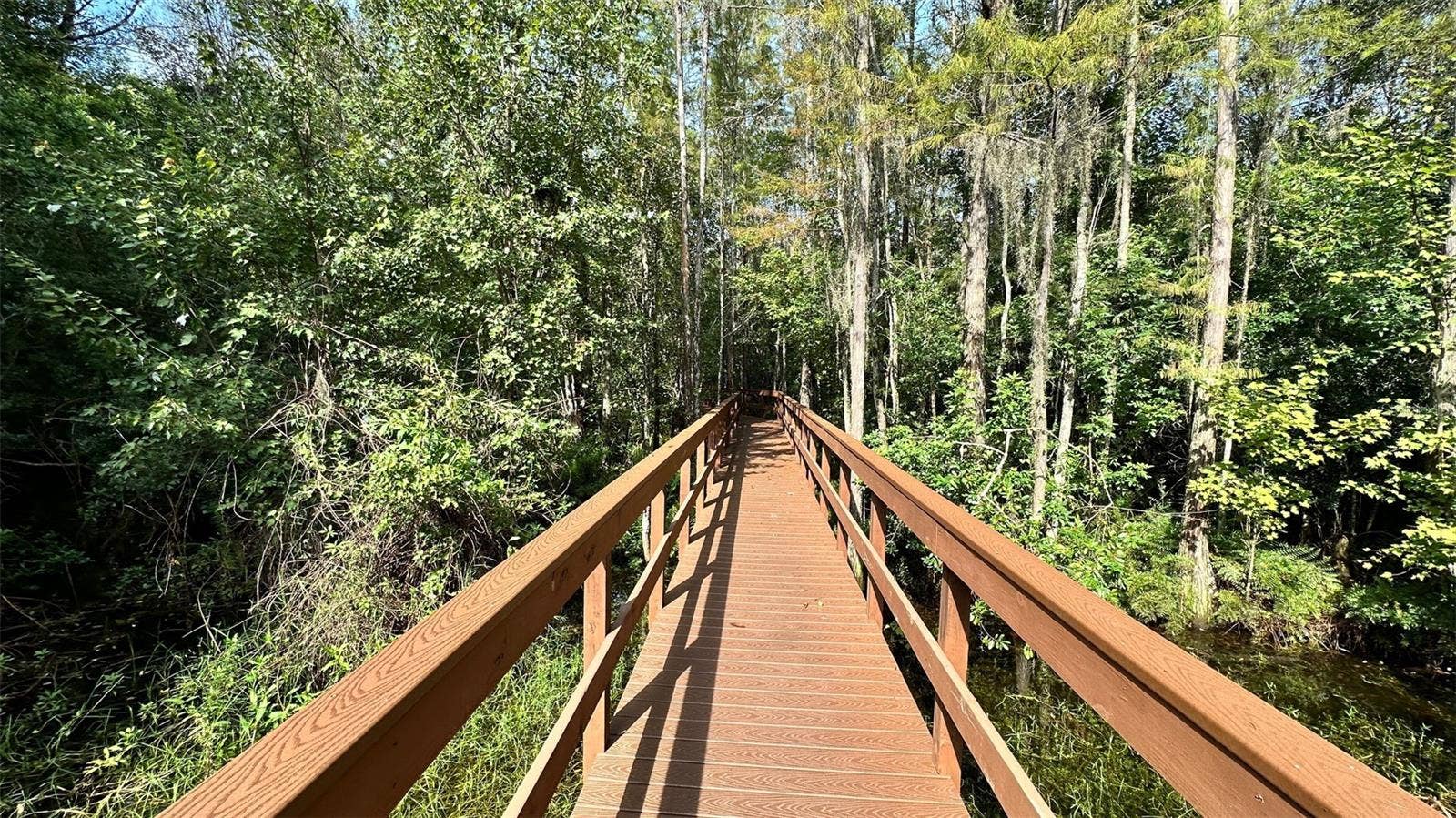 5727 GOLDEN OWL LOOP, Land O Lakes, FL 34638 5727 GOLDEN OWL LOOP, Land O Lakes, FL 34638