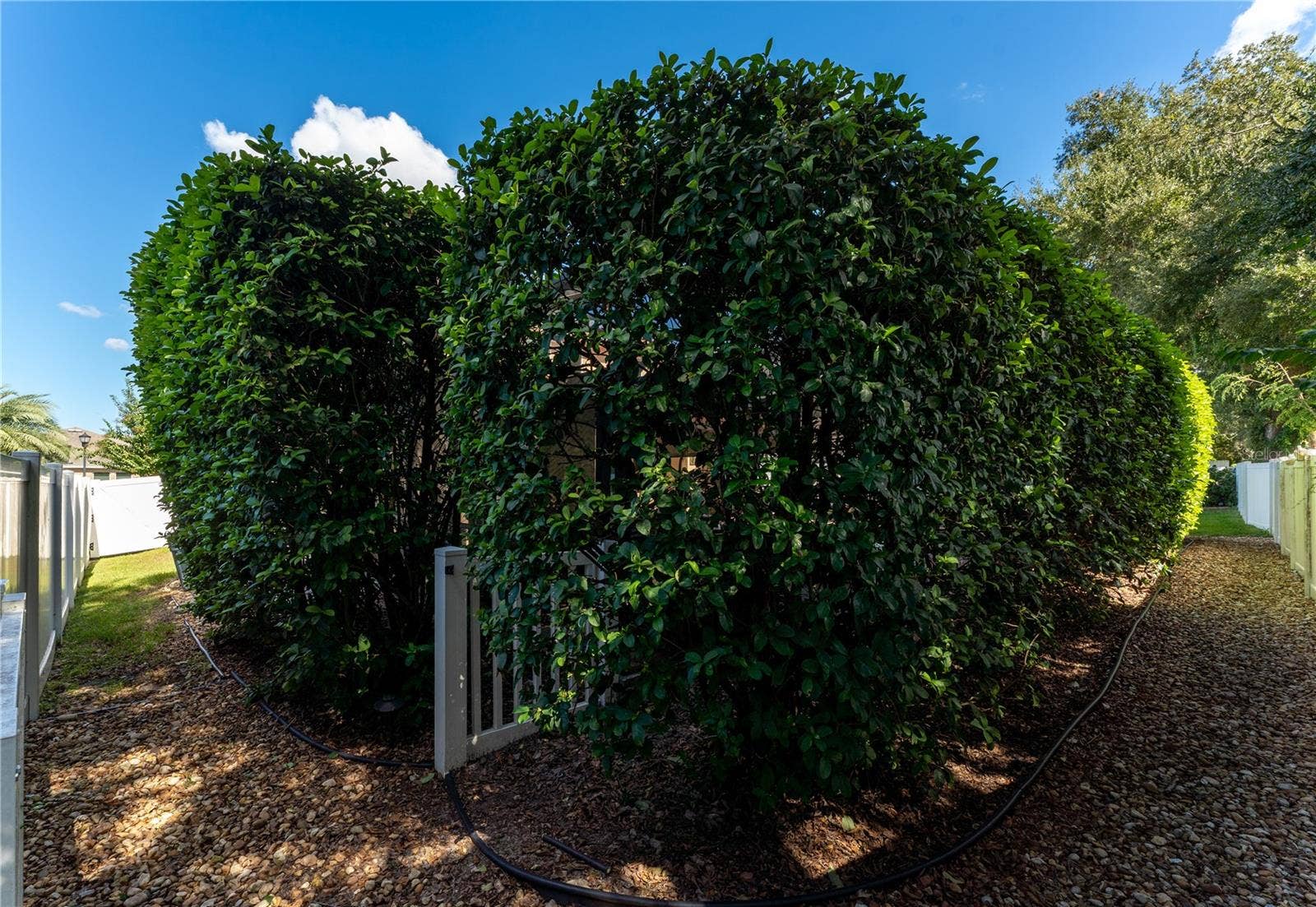 215 PARSONS WOODS DRIVE, Seffner, FL 33584 215 PARSONS WOODS DRIVE, Seffner, FL 33584