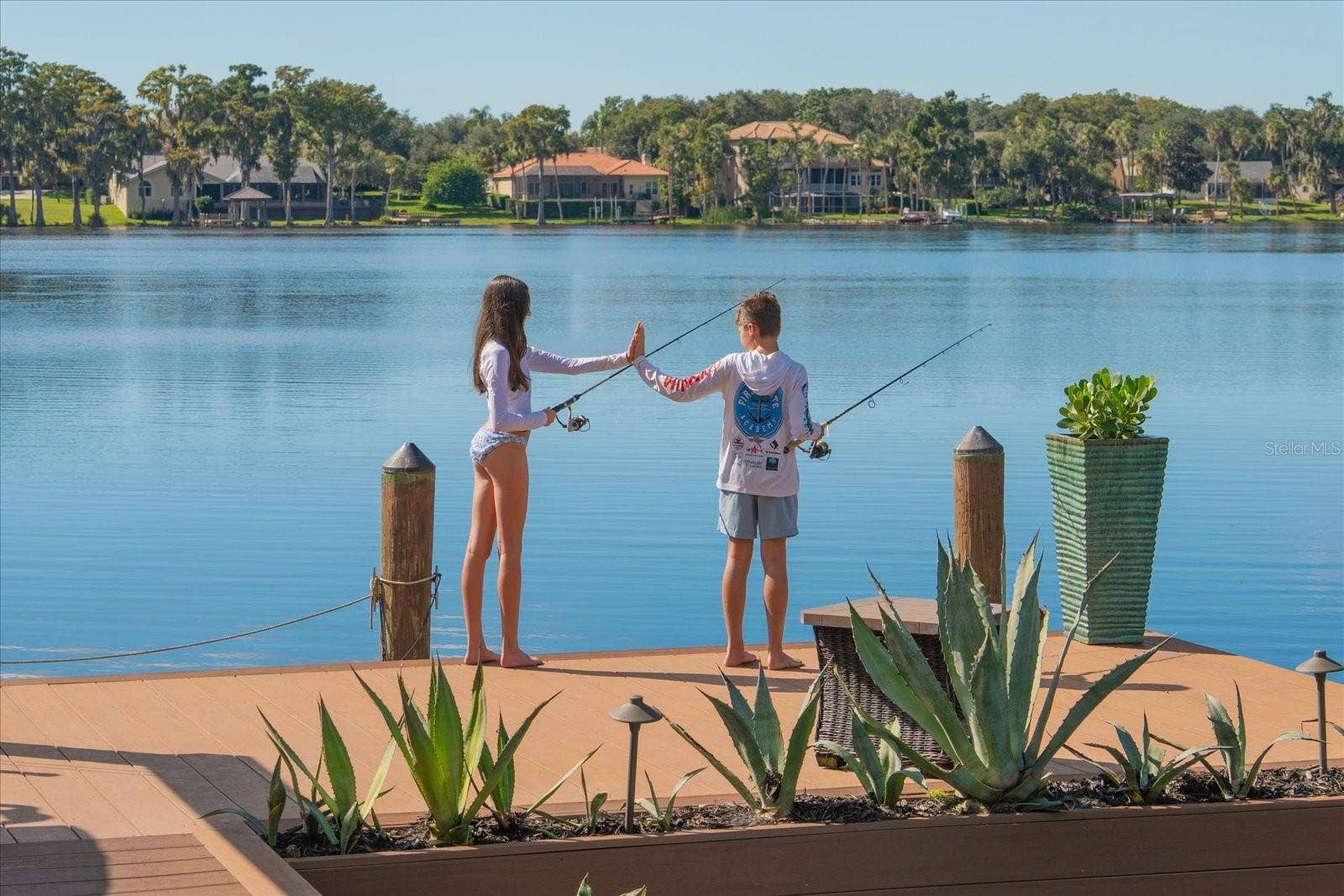 2056 COVE TRACE, Palm Harbor, FL 34685 Amazing Fishing straight off your dock!