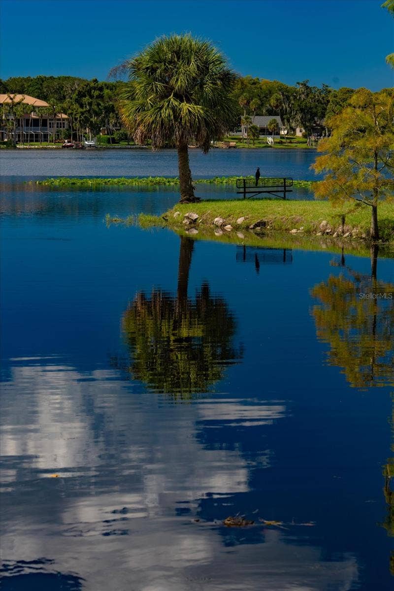 2056 COVE TRACE, Palm Harbor, FL 34685 Natural Wildlife Abounds!
