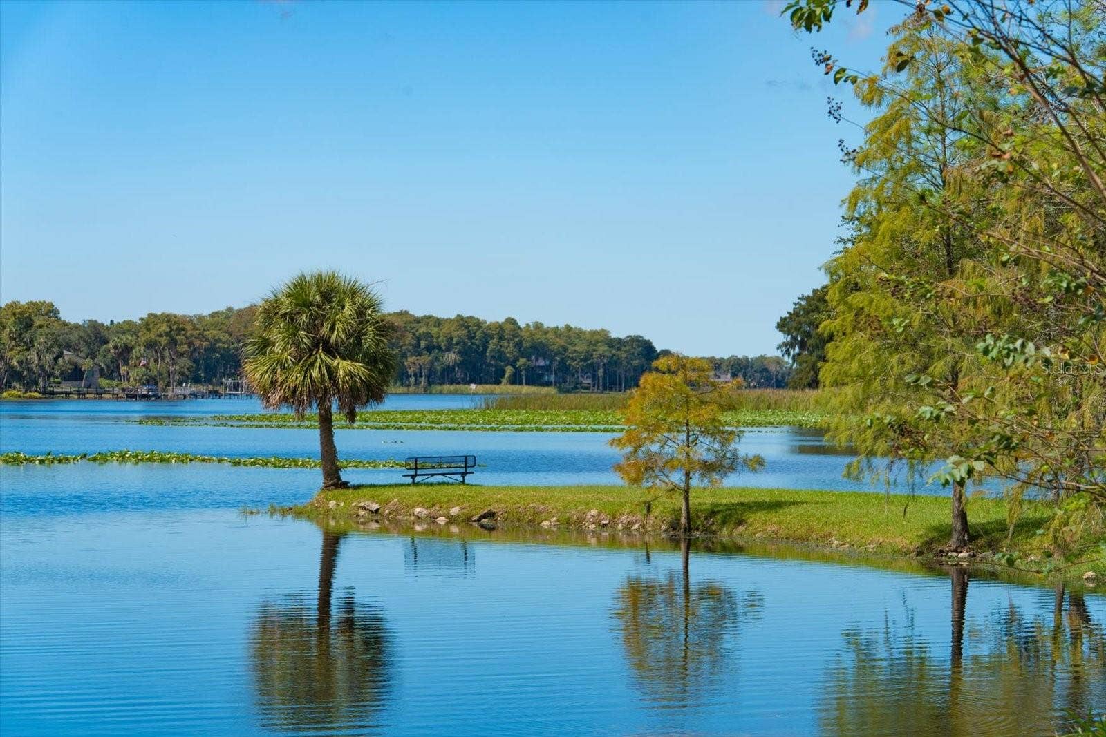2056 COVE TRACE, Palm Harbor, FL 34685 Picnic Anyone?