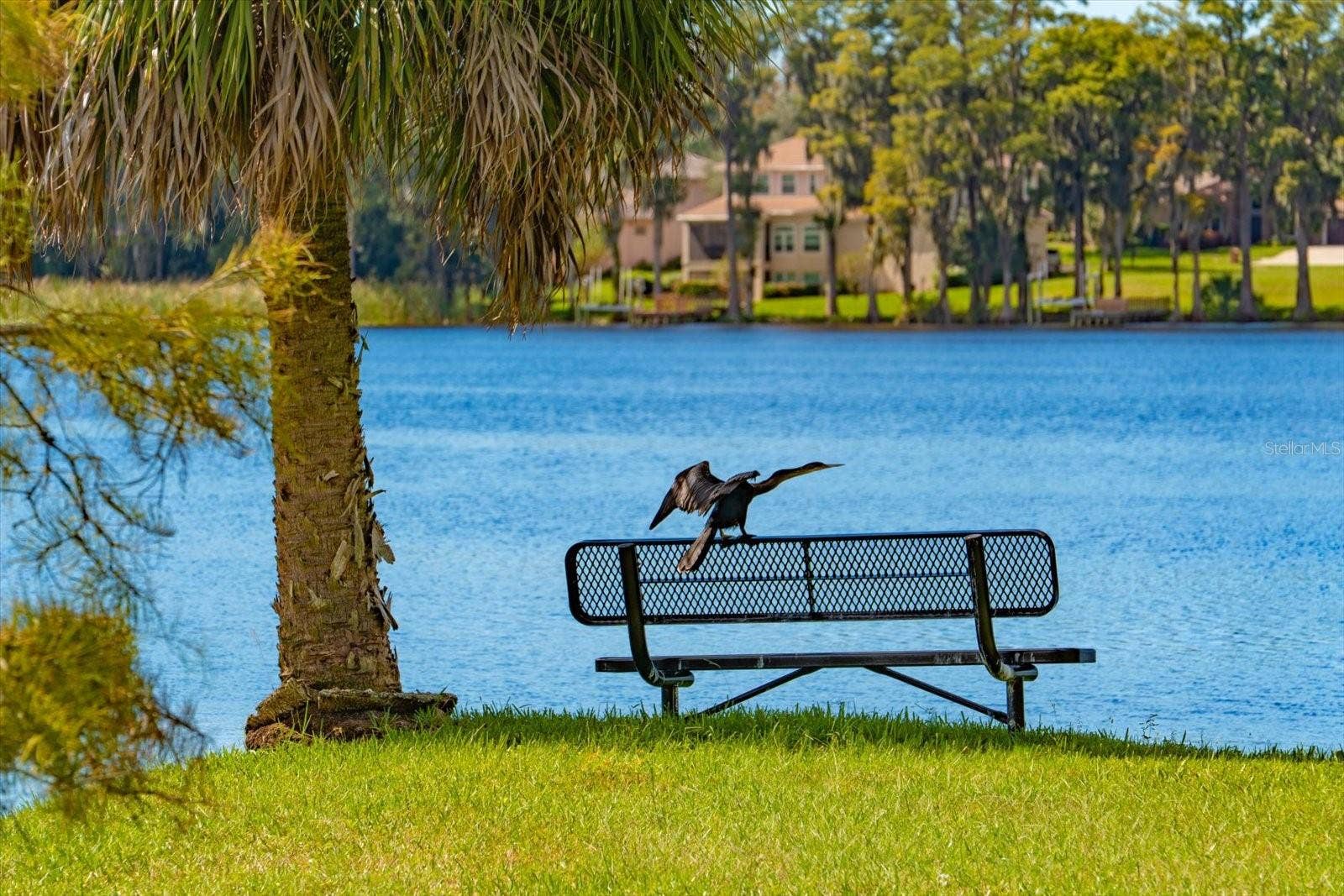 2056 COVE TRACE, Palm Harbor, FL 34685 Image having Brooker Creek Bird Sanctuary as your neighbor!