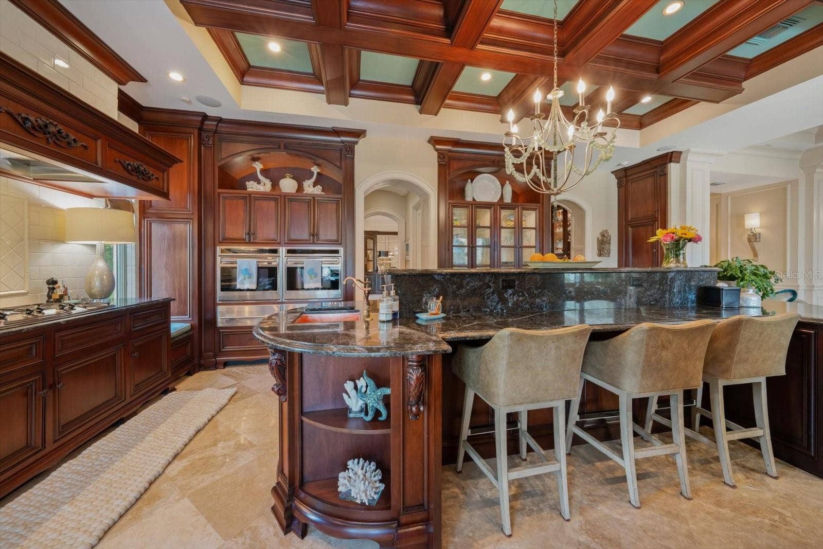 2056 COVE TRACE, Palm Harbor, FL 34685 Showstopping Chefs Kitchen! Check out all of the details!