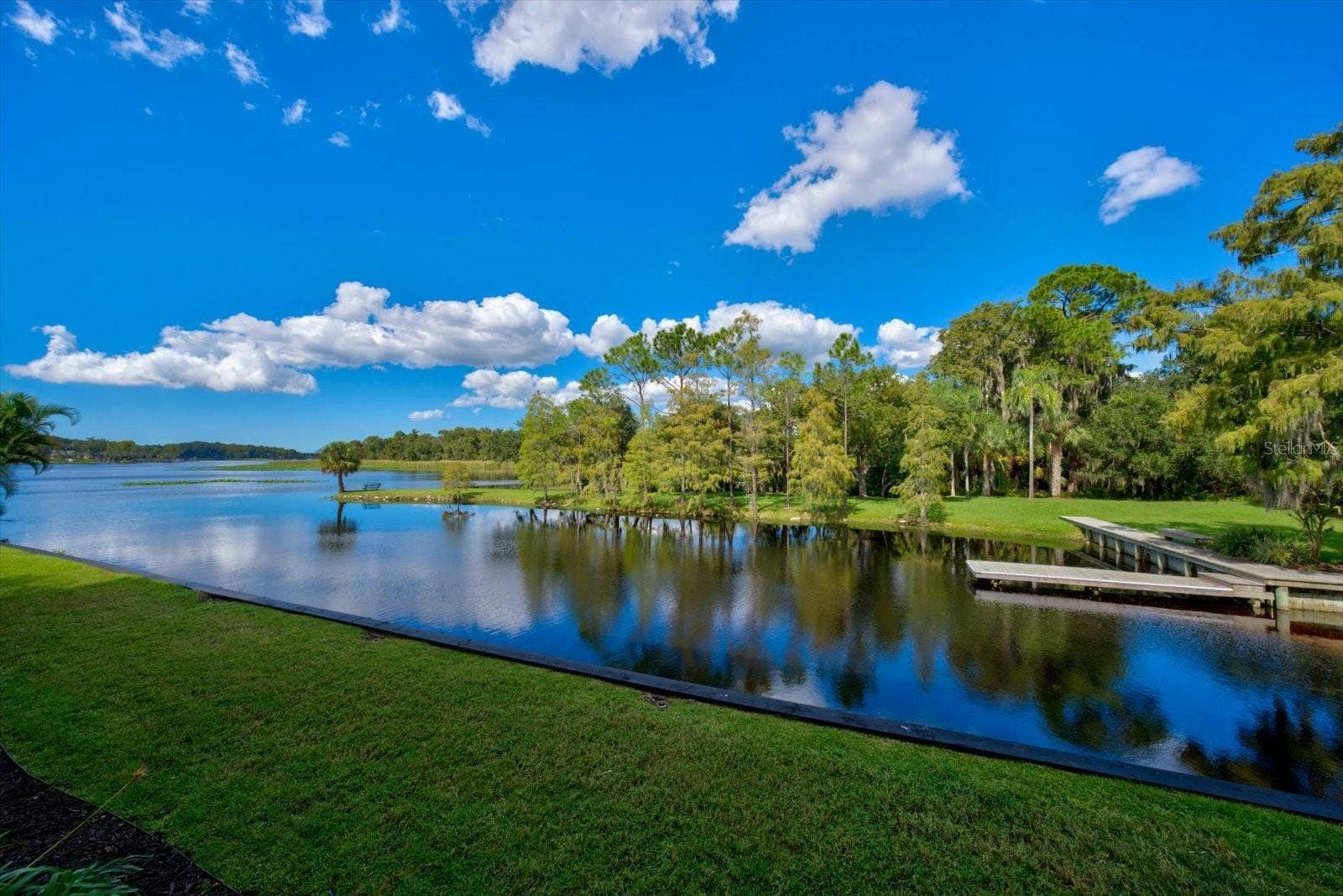 2056 COVE TRACE, Palm Harbor, FL 34685 So Peaceful!